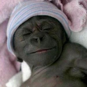 Meet your Posher, Edwardo